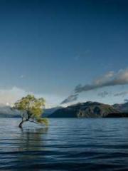 Rong Shao Nan Ning Y