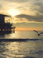 Super husband Lin Xi