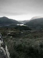 A Spicy Wife from th