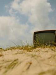 Spring fills Beijing