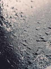 Spring fills Beijing