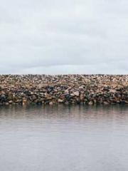 Fast Travel: The Vil