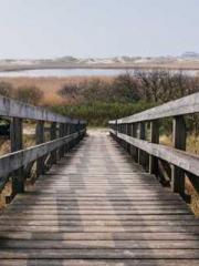 Rong Zhao, male, Nin