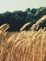 Rong Zhao, male, Nin