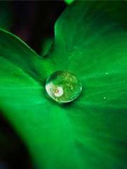 Omnipotent Mad Young