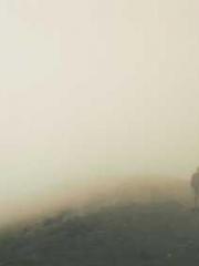 Wine, sex, money and