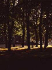 Grave Robbing: Openi