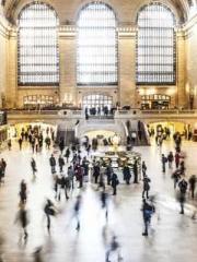 The Realm of the Dao