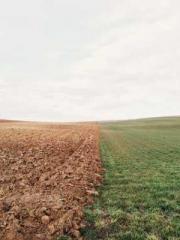 Jiang Mingzhu Zhou L