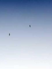 lt;The misfortune of