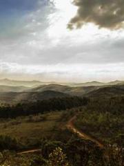 My Amazing Female Te