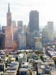 lt;Honor calls for N