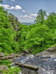 Shen Ning Ran Bo Jin