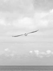 lt;Mr. Bao, Mrs. Bao