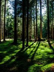 Rong Zhao, male, Nin