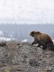 lt;Heavenly Fire Dyn