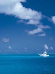 lt;Dragon King Legen