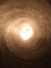 Shocking! This prota