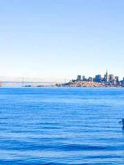 Spring fills Beijing