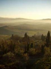 The Imperial Concubi