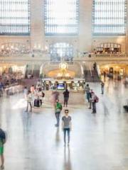 The Apothecaryapos;s