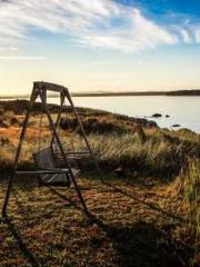 Spring fills Beijing