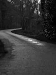 lt;Natural Disasters