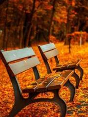 Spring fills Beijing