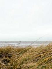 Double Blessing: CEO